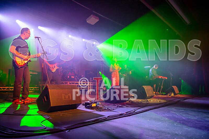 The Medical Specialist Group-36 - SoPM CORPORATE BATTLE OF THE BANDS_MEDICAL SPECIALIST GROUP