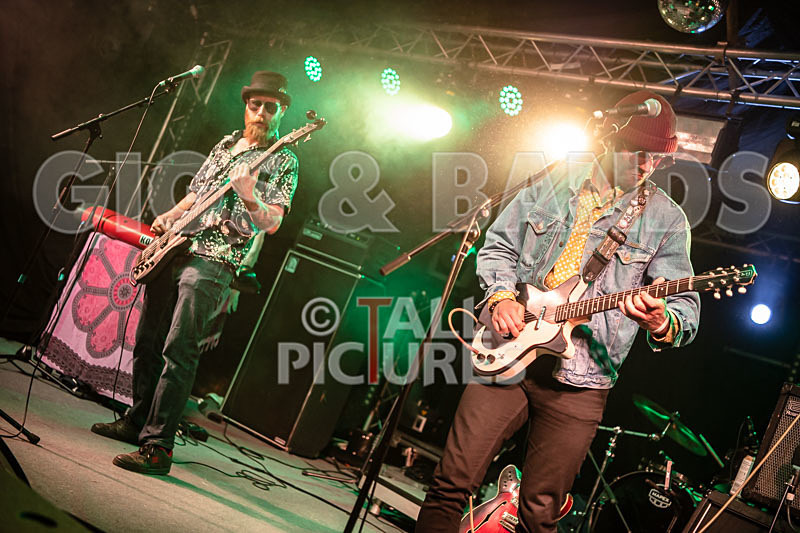 Surfin Birds-46 - SURFIN' BIRDS