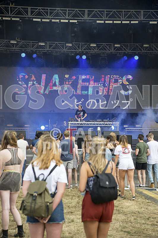 Snakehips-7 - SNAKEHIPS