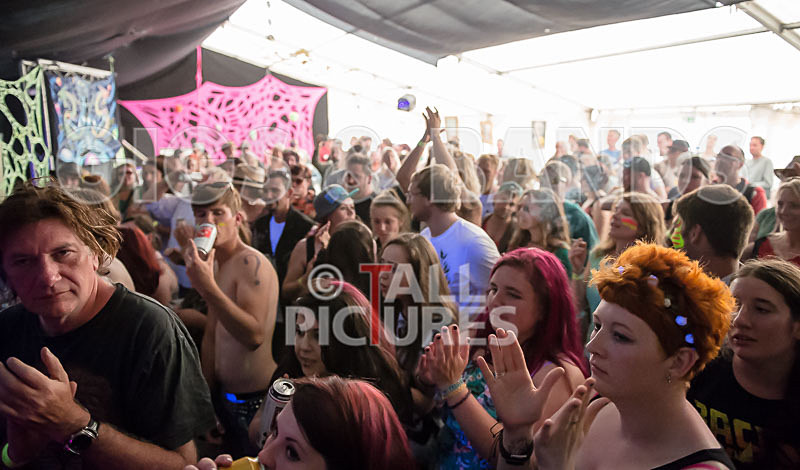 The Recks-296 - THE RECKS