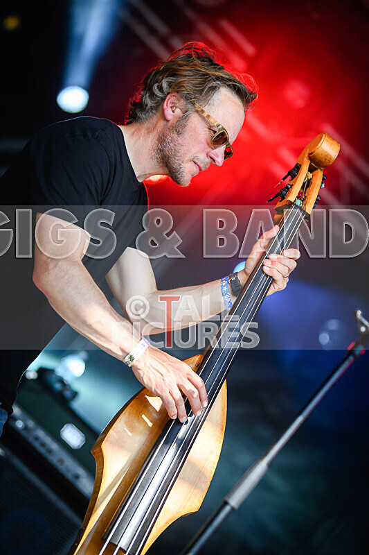 Buffalo Hudleston-727 - BUFFALO HUDLESTON