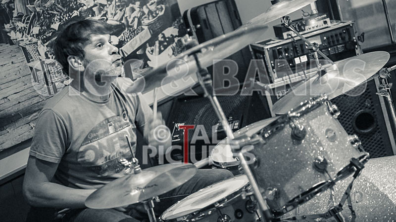 Gay Army-310 - JO REEVE'S 40th WITH GAY ARMY