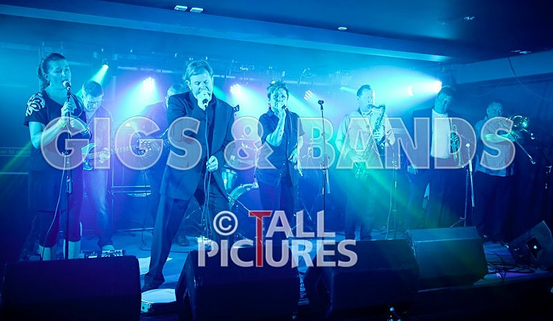 King Rat and the Soul Cats-16 - KING RAT & THE SOUL CATS