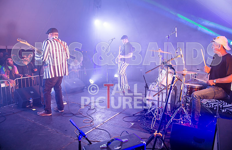 The Smooth Hounds-15 - THE SMOOTH HOUNDS