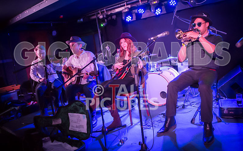 The Rectory Hill Skillet Lickers-18 - VALE EARTH FAIR UNPLUGGED 2018