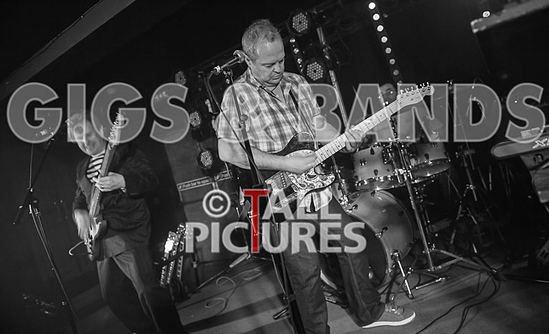 The Pulse-30 - THE PULSE