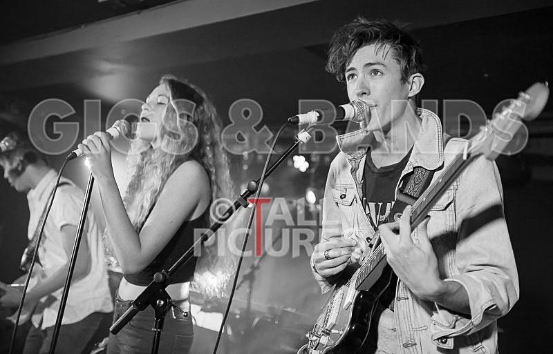 Francisco-113 - FRANCISCO