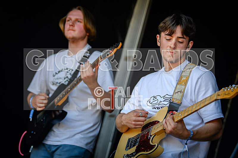 Bloomfield-49 - BLOOMFIELD