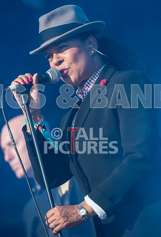 The Selecter-38 - THE SELECTER