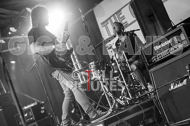 The Cryptics-84 - THE CRYPTICS