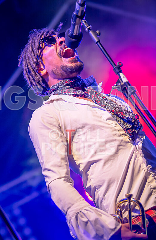 The Recks-990 - THE RECKS