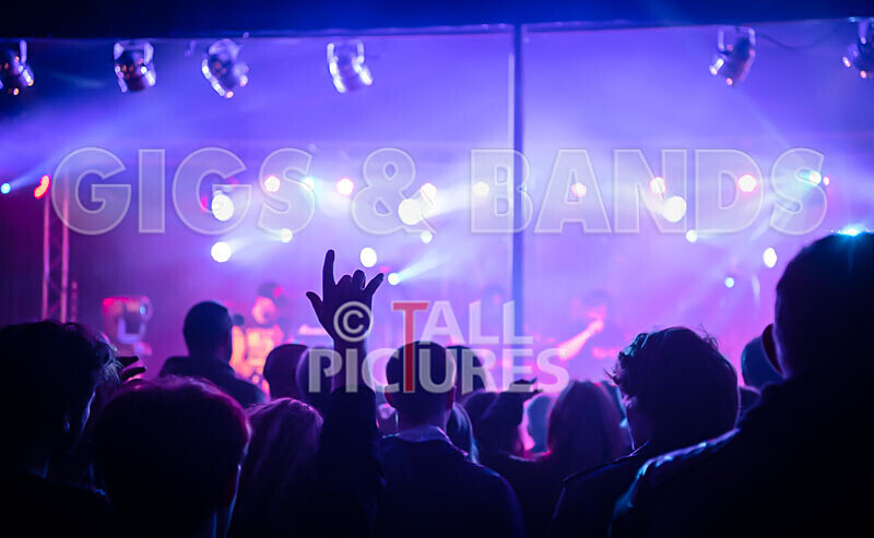 Maiden Guernsey-259 - MAIDEN GUERNSEY