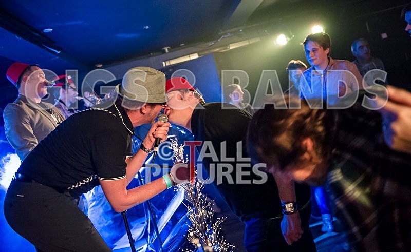 Sons of the Desert-138 - SONS OF THE DESERT