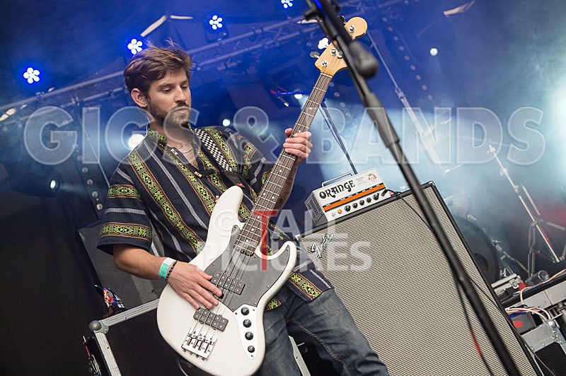 Honest Crooks-46 - HONEST CROOKS