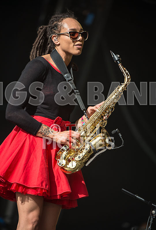 The Skints-5 - THE SKINTS