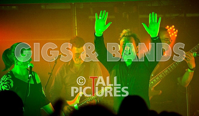 King Rat and the Soul Cats-150 - KING RAT & THE SOUL CATS
