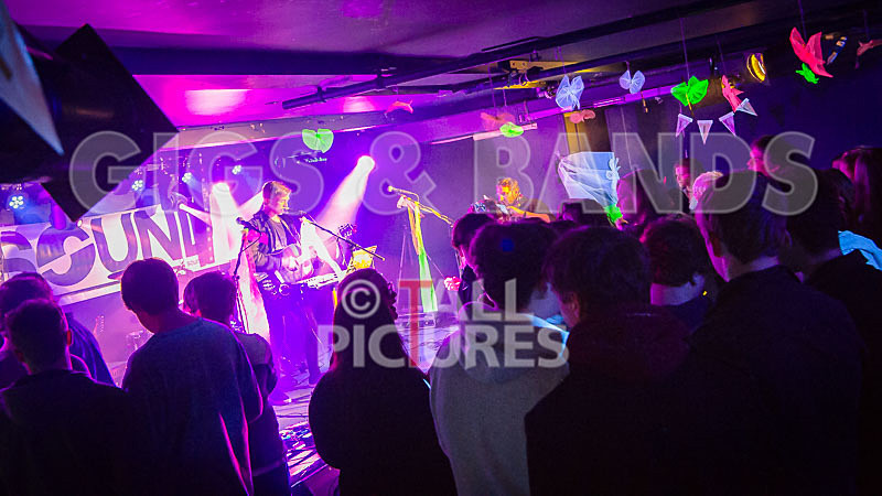 Zak Trimmer-9 - ZAK TRIMMER