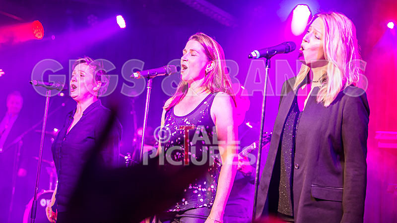 King Rat_30th Birthday Gig-29 - KING RAT AND THE SOUL CATS 30th BIRTHDAY
