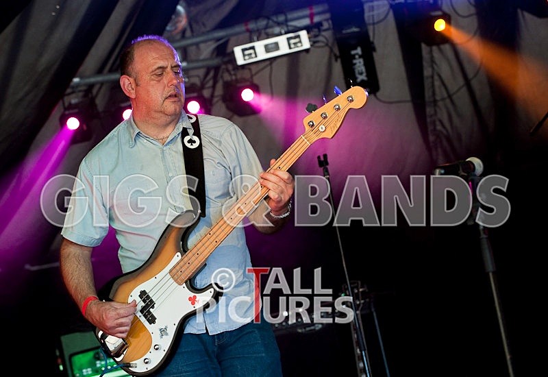 Wild Card-7 - HOGWASH 2009 - BANDS