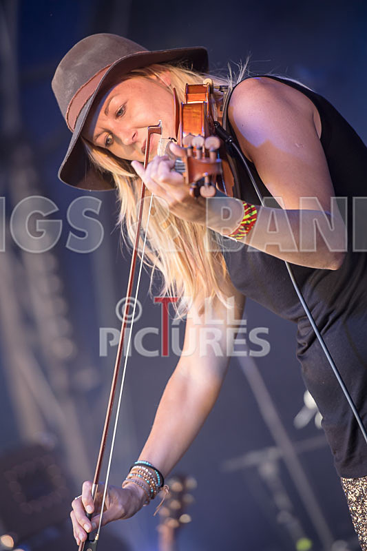 Buffalo Huddleston-458 - BUFFALO HUDDLESTON