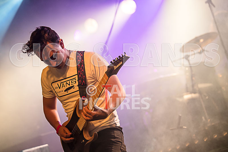 Granite Wolf-7 - GRANITE WOLF