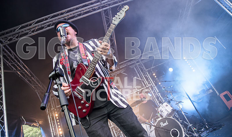 The Smooth Hounds-39 - THE SMOOTH HOUNDS