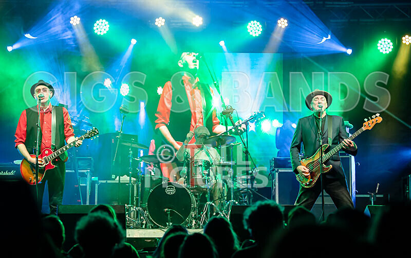 Ruts DC-12 - RUTS DC