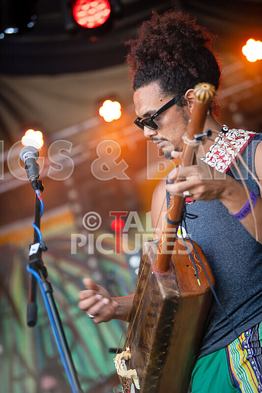 Gnawa Hash Fusion-9 - GNAWA HASH FUSION