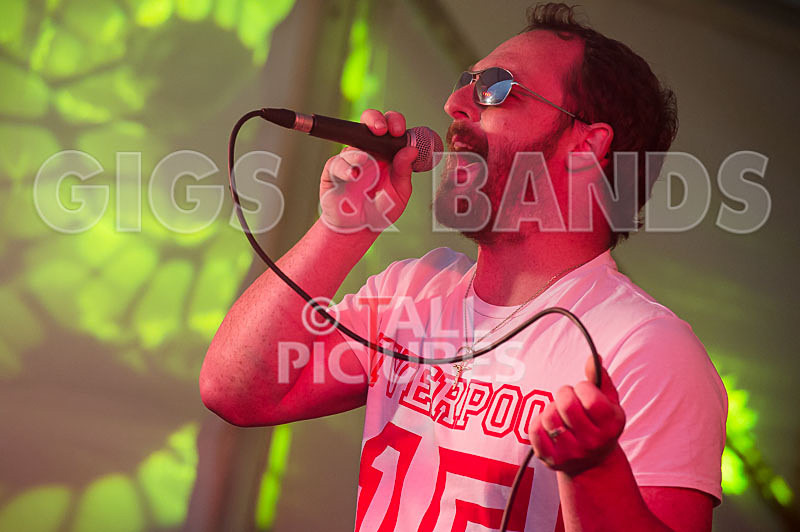 The High Tides-10 - THE HIGH TIDES