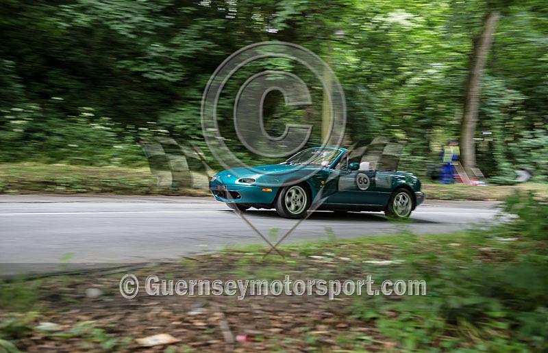 Heritage Charity Hillclimb_2014-222 - HERITAGE CHARITY HILL CLIMB 2014