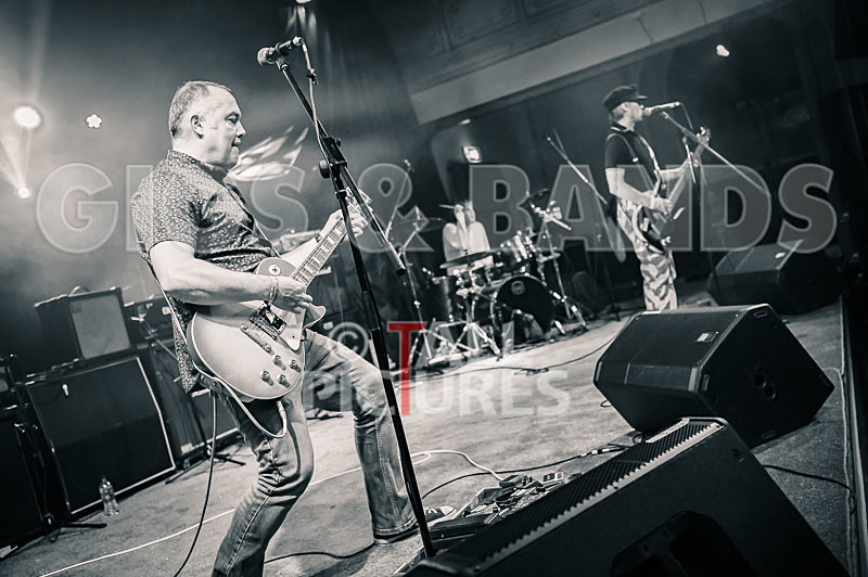 The Risk-377 - THE RISK