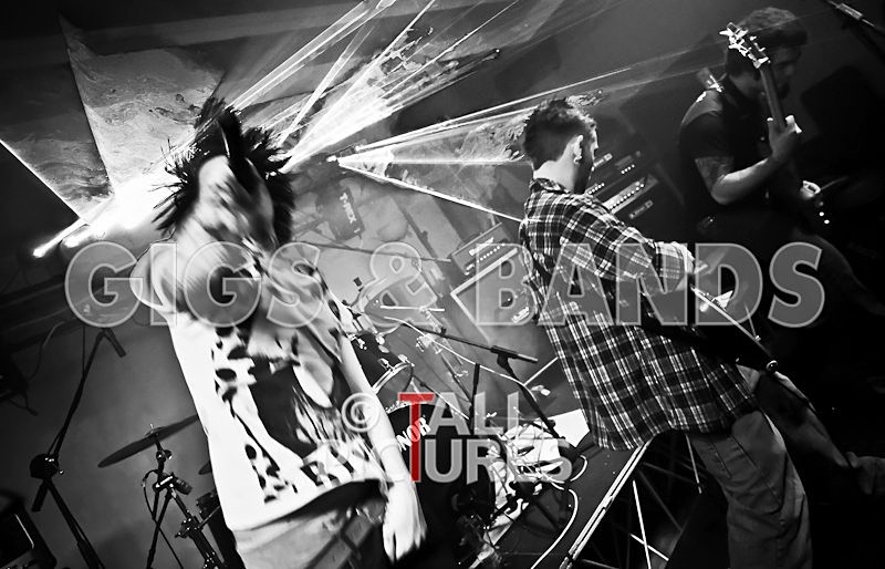 Five Across the Eyes-6 - FIVE ACROSS THE EYES at RoA-5