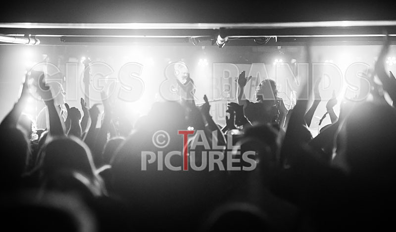 Buffalo Huddleston-137 - BUFFALO HUDDLESTON