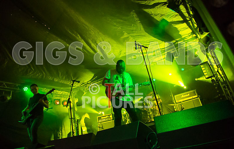 To the Woods-266 - TO THE WOODS