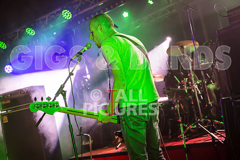 Falenizza Horsepower-74 - FALENIZZA HORSEPOWER