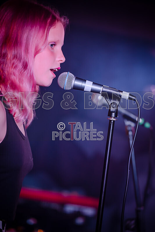 Crocspiracy-40 - CROCSPIRICY