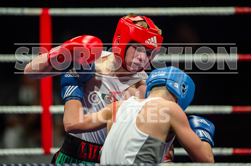 BOUT-6 - Luke Robert v Davis Shima-9 - BOUT-6 - Luke Robert v Davis Shima