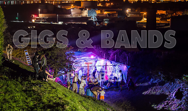 Vale Earth Fair 2017_SCENE-141 - VALE EARTH FAIR 2017_THE SCENE