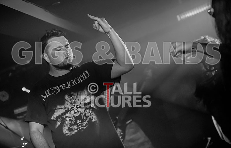 Masticated-24 - MASTICATED