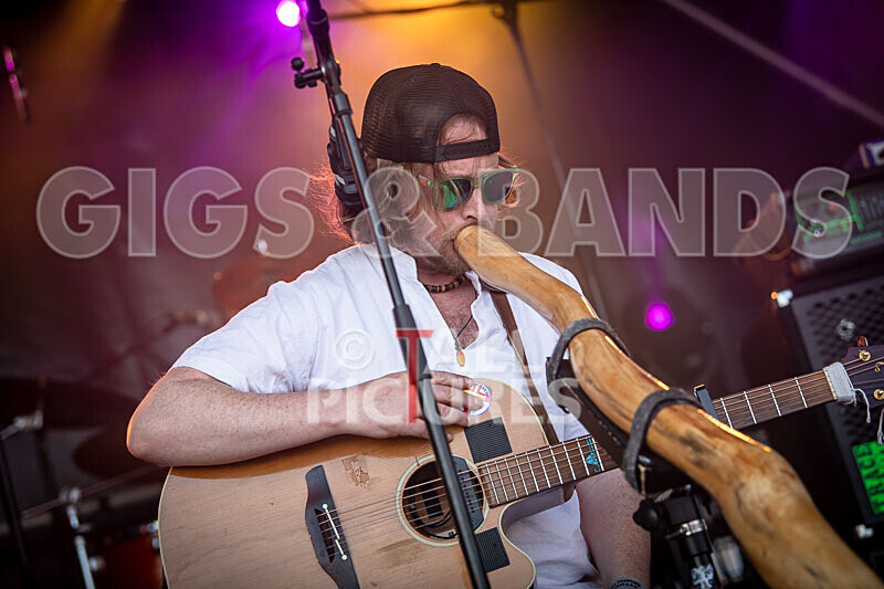 Buffalo Huddleston-725 - BUFFALO HUDDLESTON