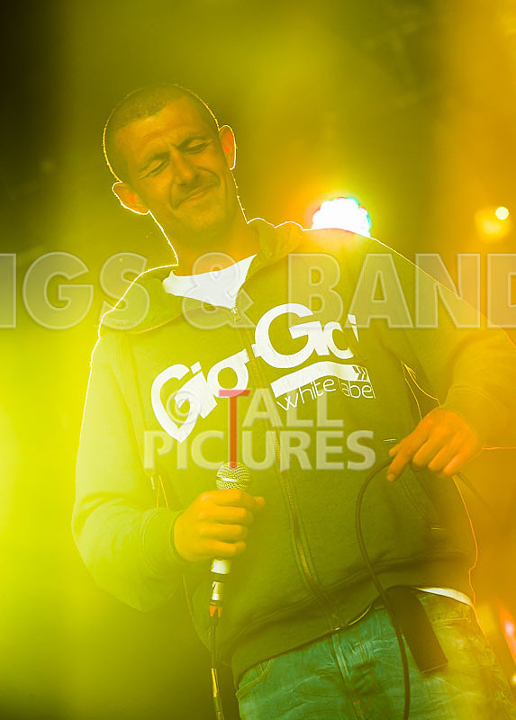 Buffalo Huddleston-418 - BUFFALO HUDDLESTON