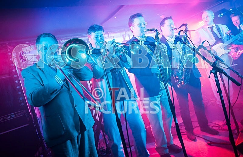 The Pulse-78 - THE PULSE