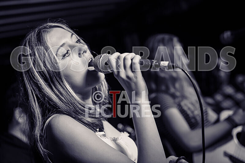 12 Gauge-105 - 12 GAUGE