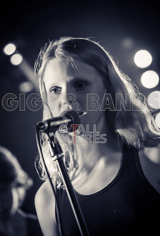 Crocspiracy-29 - CROCSPIRICY