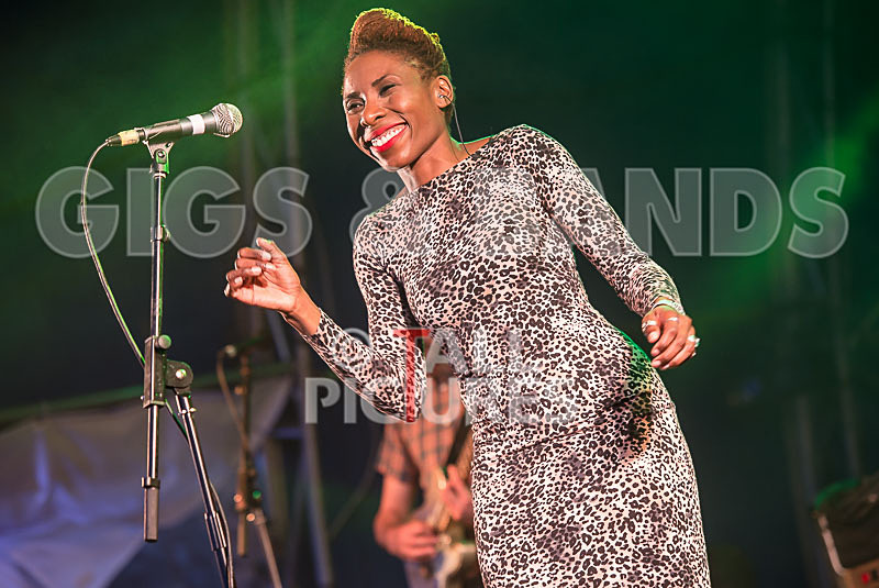 The Delegators-27 - THE DELEGATORS