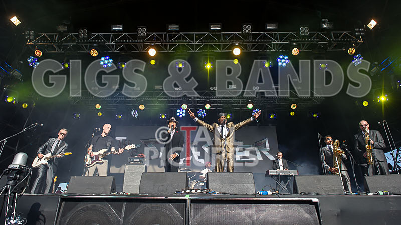 The Selecter-61 - THE SELECTER