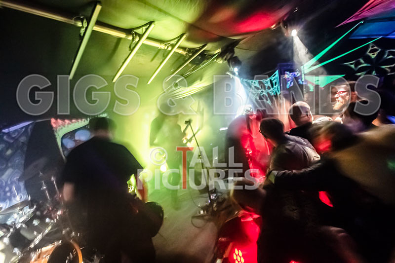 Mechanical Lobster-45 - MECHANICAL LOBSTER