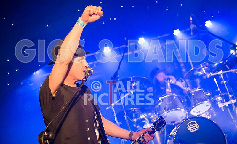 Peppered Ant Legs-196 - PEPPERED ANT LEGS