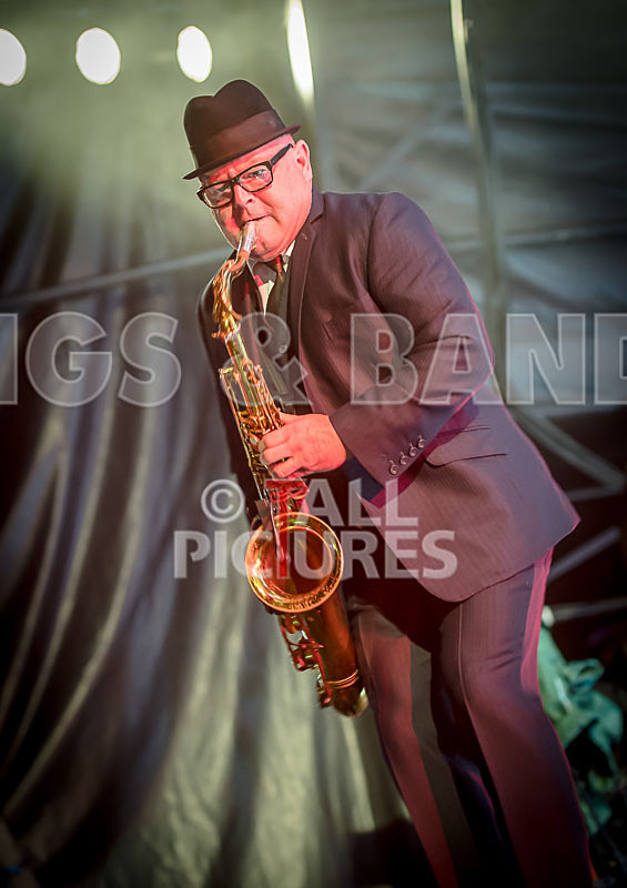 Madness-41 - MADNESS