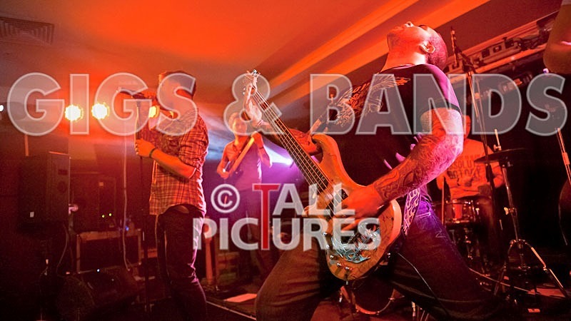 Destria-129 - DESTRIA